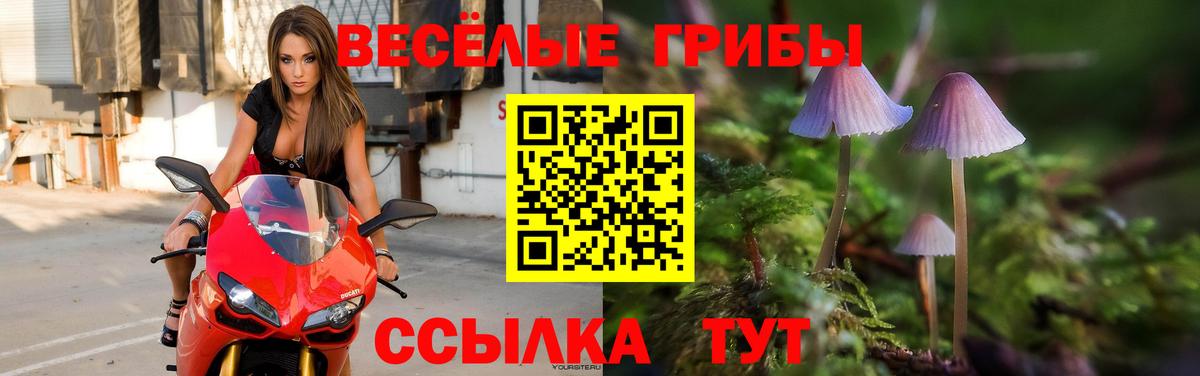 Псилоцибиновые грибы MAGIC MUSHROOMS Всеволожск